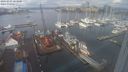 ./images/victoria/wharf/20240203/wharf20240203_103000.jpg