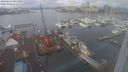 ./images/victoria/wharf/20240203/wharf20240203_104501.jpg