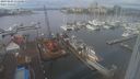 ./images/victoria/wharf/20240203/wharf20240203_111001.jpg