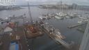 ./images/victoria/wharf/20240203/wharf20240203_112000.jpg