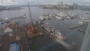 ./images/victoria/wharf/20240203/wharf20240203_112500.jpg