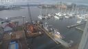 ./images/victoria/wharf/20240203/wharf20240203_125000.jpg