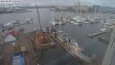 ./images/victoria/wharf/20240203/wharf20240203_131500.jpg