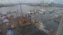 ./images/victoria/wharf/20240203/wharf20240203_132500.jpg