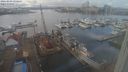 ./images/victoria/wharf/20240203/wharf20240203_134500.jpg