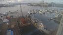 ./images/victoria/wharf/20240203/wharf20240203_135000.jpg