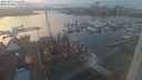 ./images/victoria/wharf/20240203/wharf20240203_165501.jpg