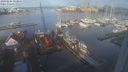 ./images/victoria/wharf/20240204/wharf20240204_093000.jpg