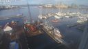 ./images/victoria/wharf/20240204/wharf20240204_095500.jpg