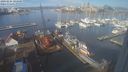 ./images/victoria/wharf/20240204/wharf20240204_104500.jpg