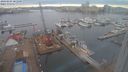 ./images/victoria/wharf/20240205/wharf20240205_083000.jpg