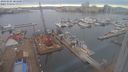./images/victoria/wharf/20240205/wharf20240205_084000.jpg
