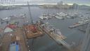 ./images/victoria/wharf/20240205/wharf20240205_093000.jpg