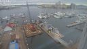 ./images/victoria/wharf/20240205/wharf20240205_094500.jpg