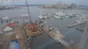 ./images/victoria/wharf/20240205/wharf20240205_114501.jpg