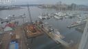 ./images/victoria/wharf/20240205/wharf20240205_132501.jpg
