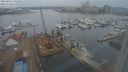 ./images/victoria/wharf/20240205/wharf20240205_145500.jpg