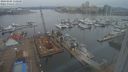 ./images/victoria/wharf/20240205/wharf20240205_150500.jpg