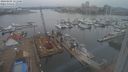 ./images/victoria/wharf/20240205/wharf20240205_151500.jpg