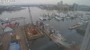 ./images/victoria/wharf/20240205/wharf20240205_163500.jpg