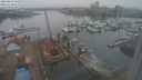 ./images/victoria/wharf/20240205/wharf20240205_165500.jpg