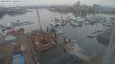 ./images/victoria/wharf/20240205/wharf20240205_170000.jpg