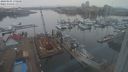 ./images/victoria/wharf/20240205/wharf20240205_170500.jpg