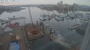 ./images/victoria/wharf/20240205/wharf20240205_171000.jpg