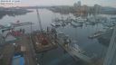 ./images/victoria/wharf/20240205/wharf20240205_171500.jpg