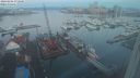 ./images/victoria/wharf/20240206/wharf20240206_073000.jpg