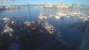 ./images/victoria/wharf/20240206/wharf20240206_090000.jpg