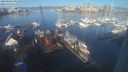 ./images/victoria/wharf/20240206/wharf20240206_094501.jpg