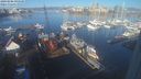 ./images/victoria/wharf/20240206/wharf20240206_095500.jpg