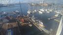 ./images/victoria/wharf/20240206/wharf20240206_131500.jpg