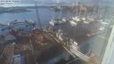./images/victoria/wharf/20240206/wharf20240206_144500.jpg