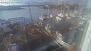 ./images/victoria/wharf/20240206/wharf20240206_153000.jpg