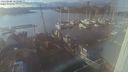 ./images/victoria/wharf/20240206/wharf20240206_161500.jpg