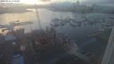 ./images/victoria/wharf/20240206/wharf20240206_170000.jpg