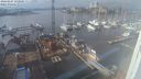 ./images/victoria/wharf/20240207/wharf20240207_133500.jpg