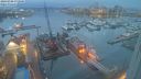 ./images/victoria/wharf/20240208/wharf20240208_072001.jpg