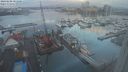 ./images/victoria/wharf/20240208/wharf20240208_081500.jpg