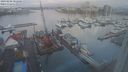 ./images/victoria/wharf/20240208/wharf20240208_082501.jpg