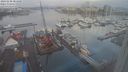 ./images/victoria/wharf/20240208/wharf20240208_084000.jpg