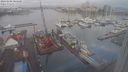 ./images/victoria/wharf/20240208/wharf20240208_084501.jpg