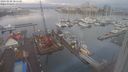 ./images/victoria/wharf/20240208/wharf20240208_085500.jpg