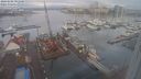 ./images/victoria/wharf/20240208/wharf20240208_091500.jpg