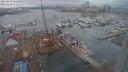 ./images/victoria/wharf/20240208/wharf20240208_123501.jpg