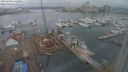 ./images/victoria/wharf/20240208/wharf20240208_134500.jpg