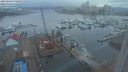 ./images/victoria/wharf/20240208/wharf20240208_170500.jpg