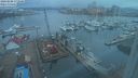 ./images/victoria/wharf/20240208/wharf20240208_172000.jpg